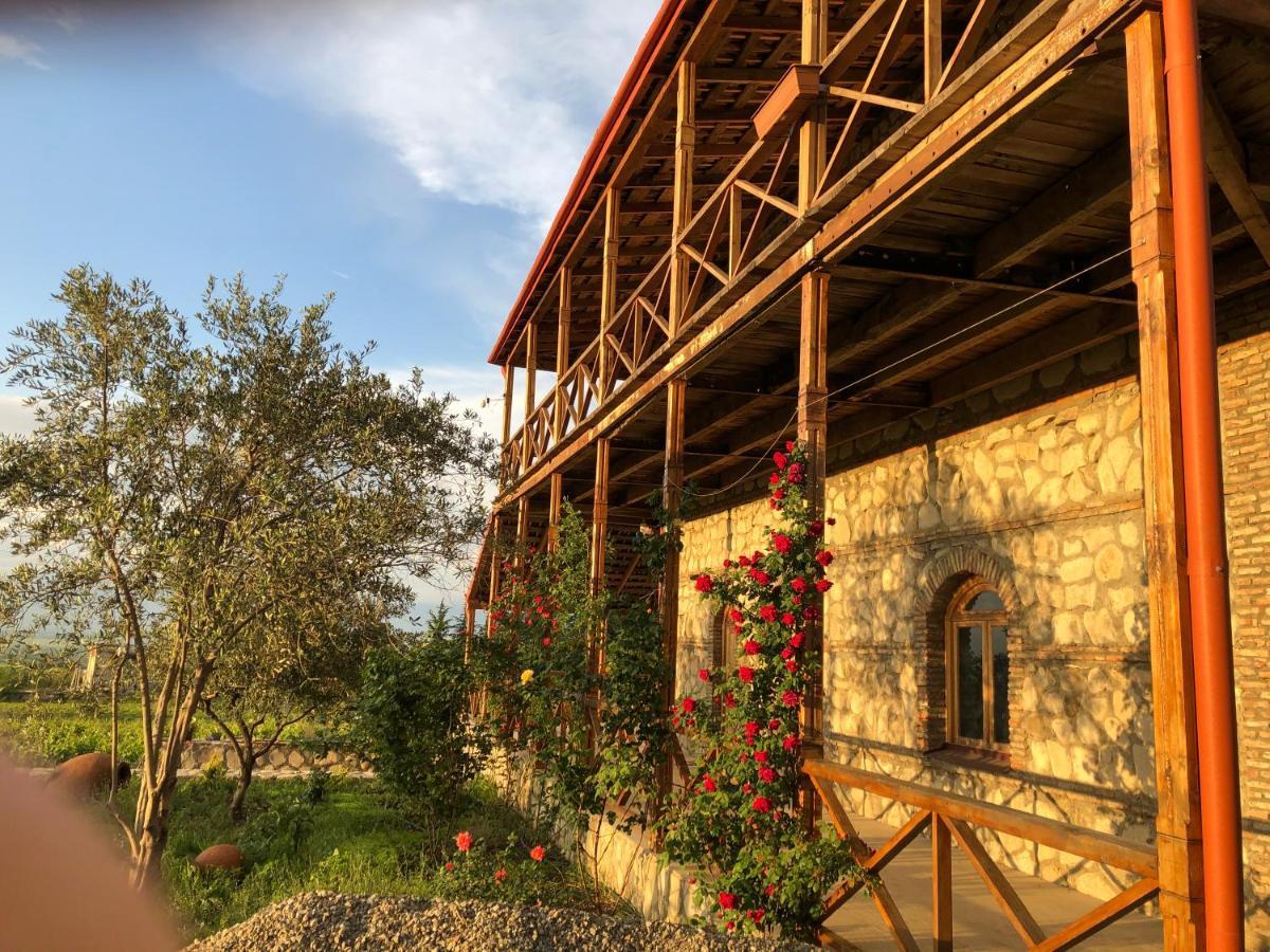 Elizbar Talakvadze Winery Villa Kardanakhi Eksteriør bilde